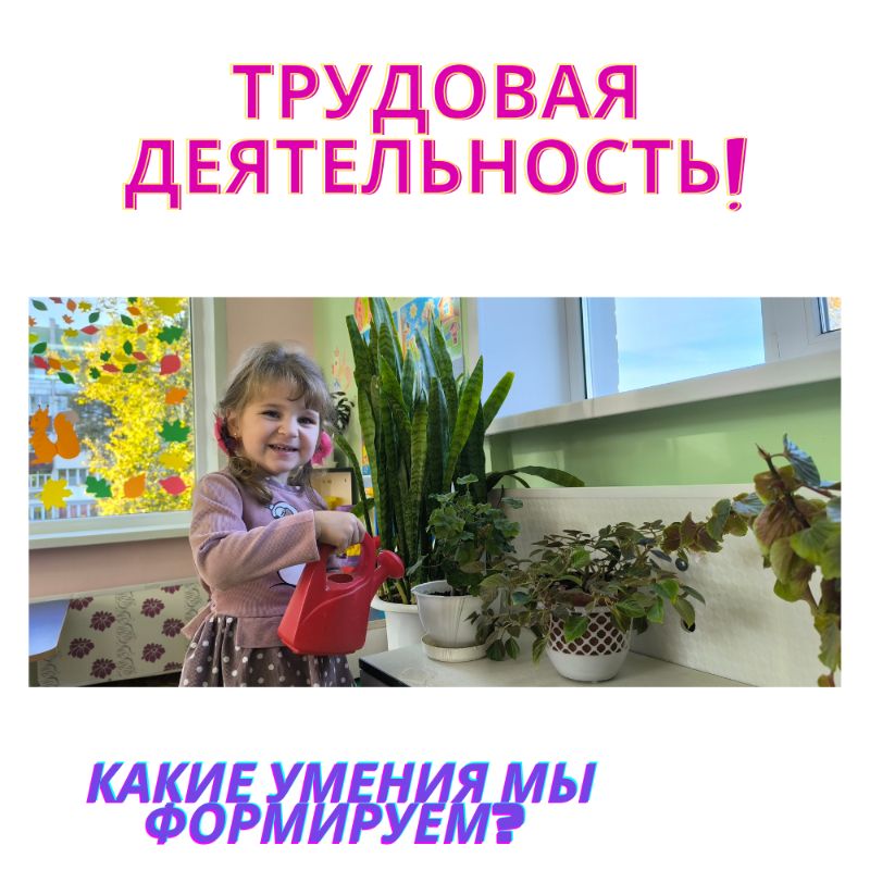 Трудовая деятельность 👍 Какие умения мы формируем в саду?